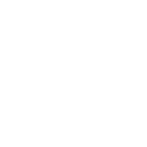 Projects Delivered